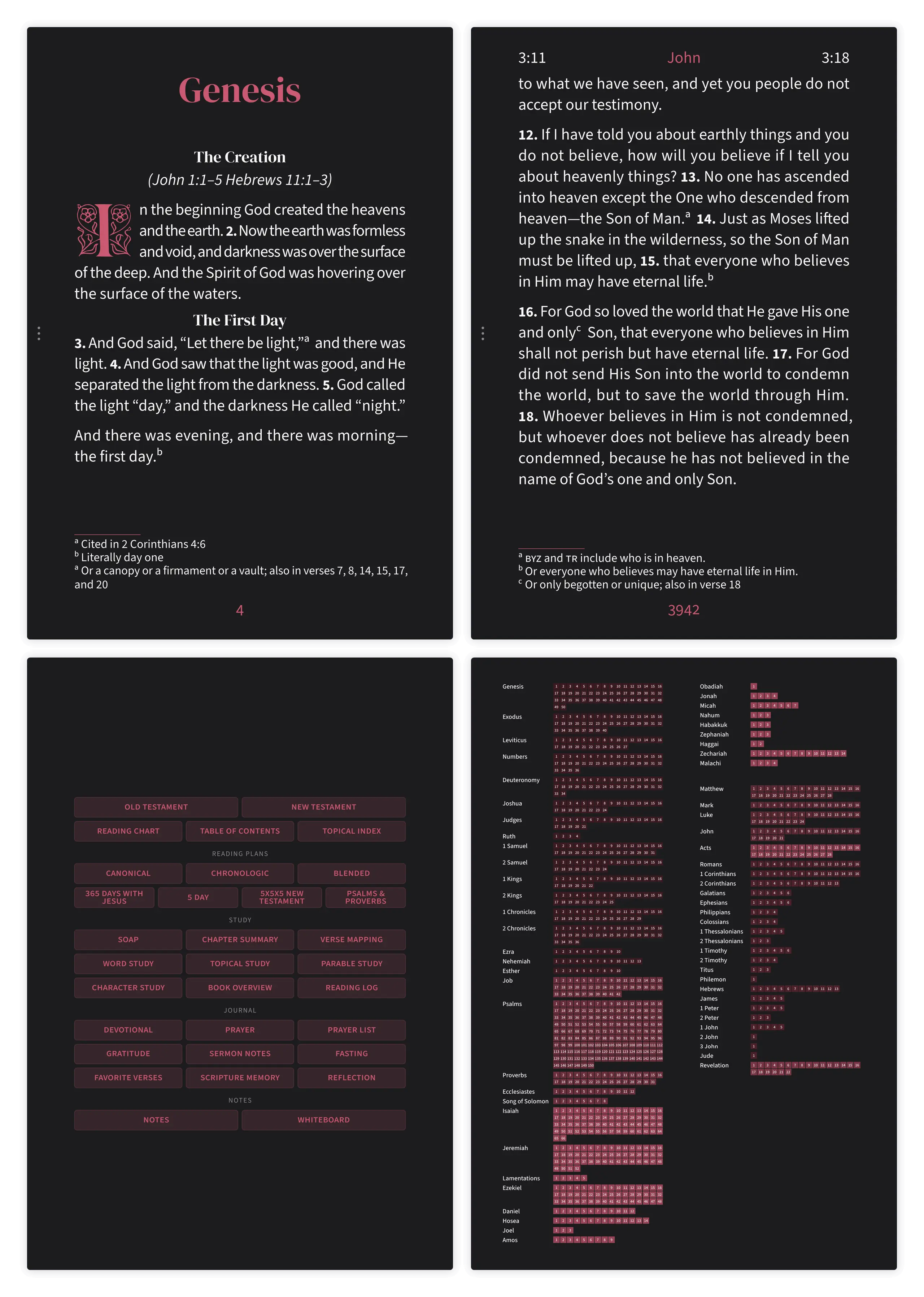 Dark mode Bible pages in the Embrace large print layout