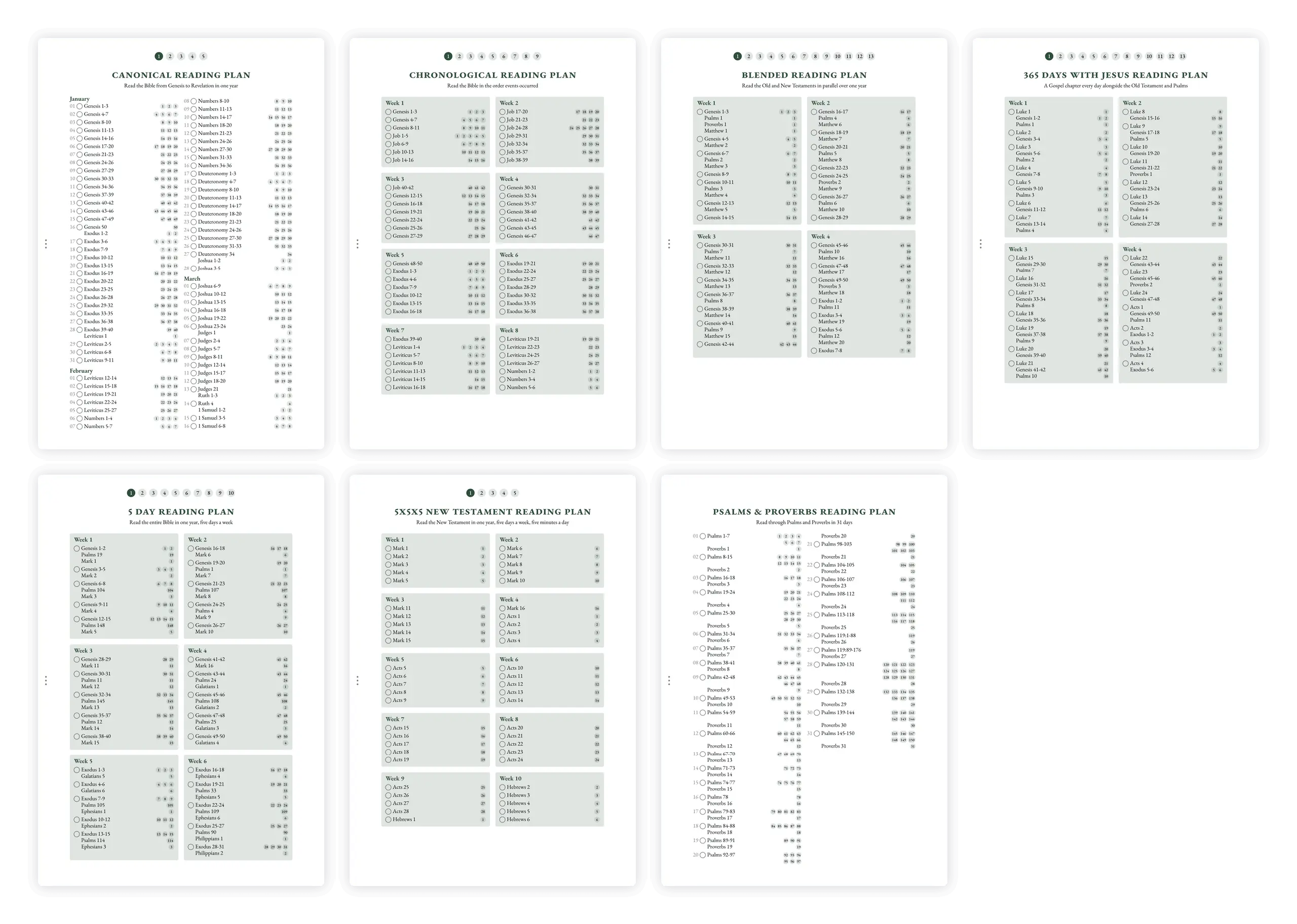 Overview of reading plan options including chronological, canonical, and thematic