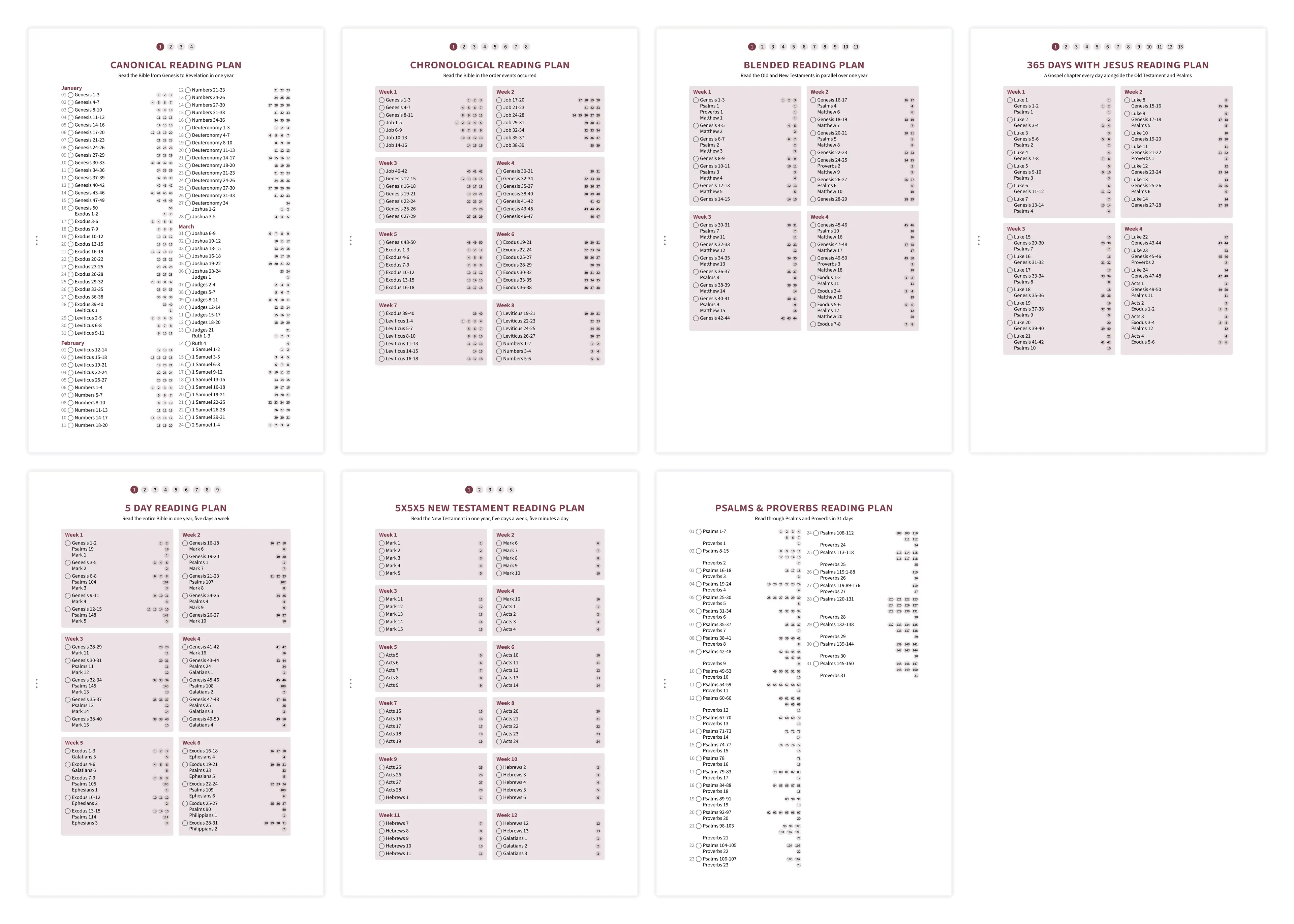 Overview of reading plan options including chronological, canonical, and thematic