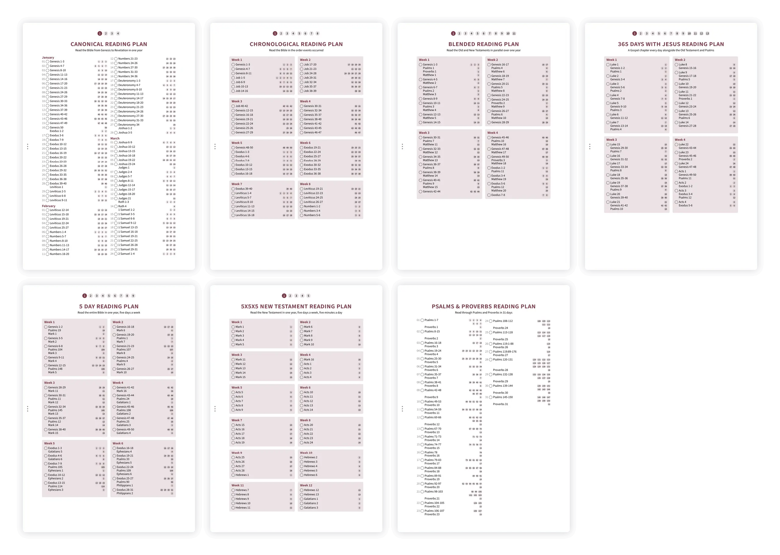 Overview of reading plan options including chronological, canonical, and thematic