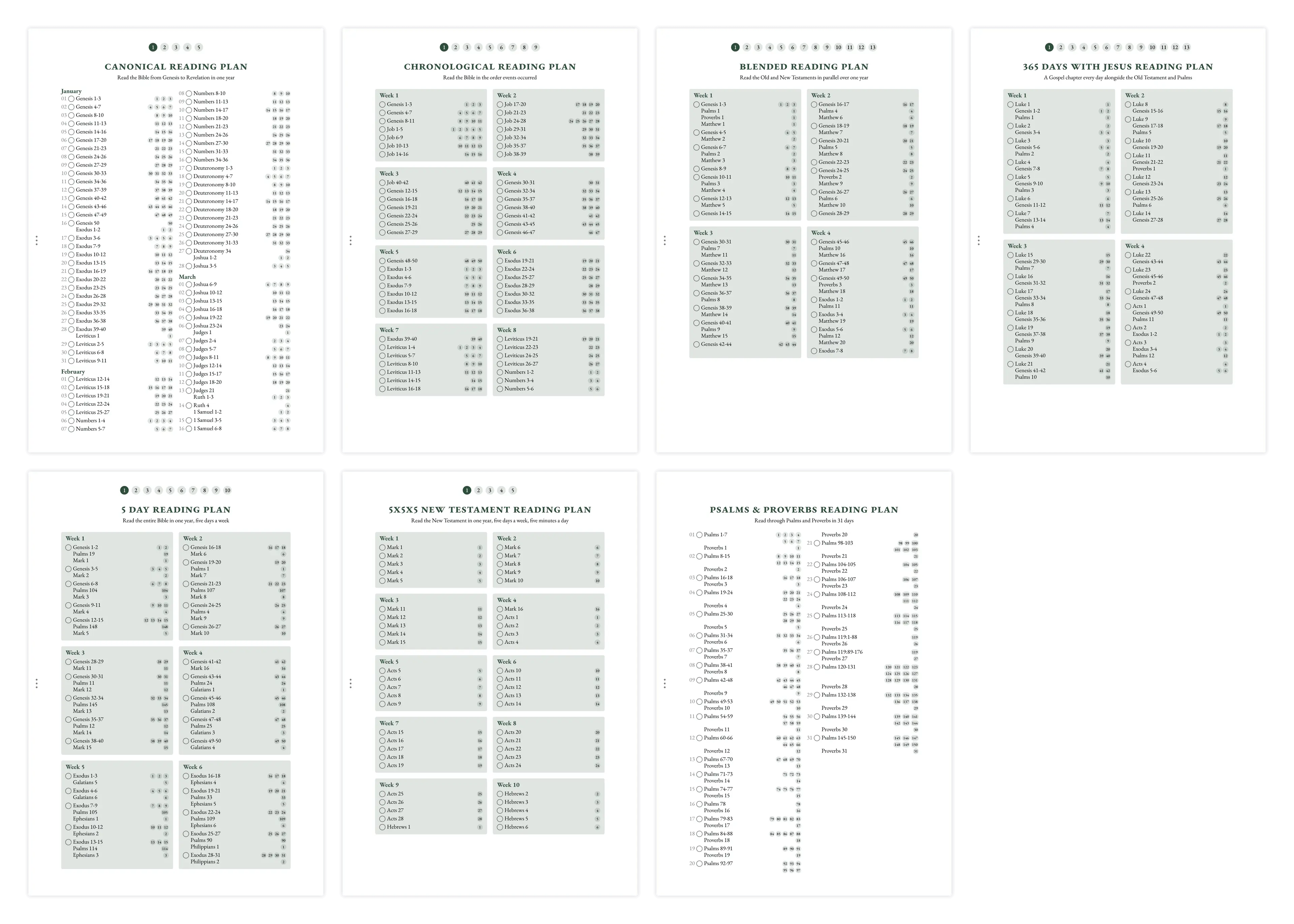 Overview of reading plan options including chronological, canonical, and thematic