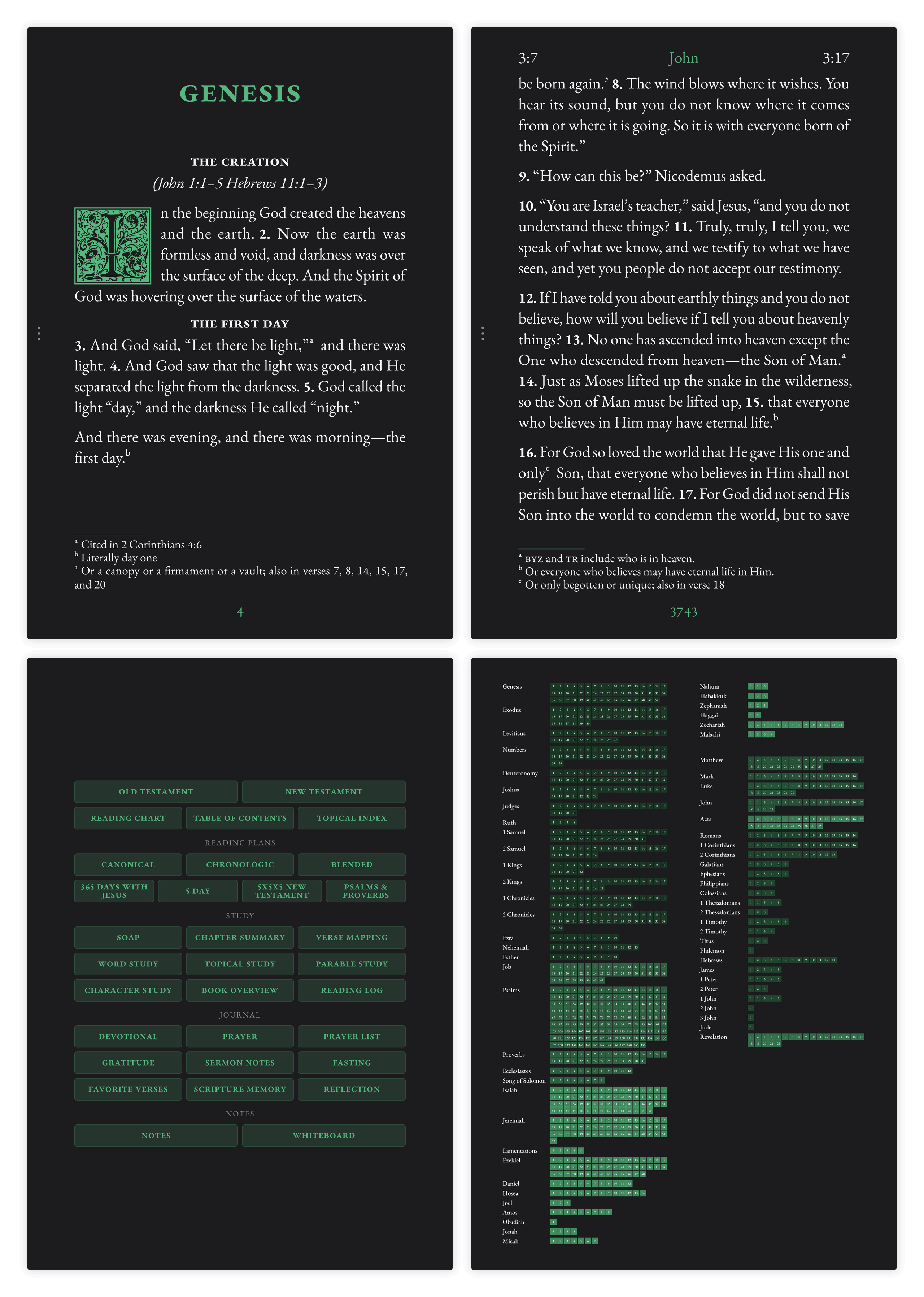 Dark mode Bible pages showing large print layout