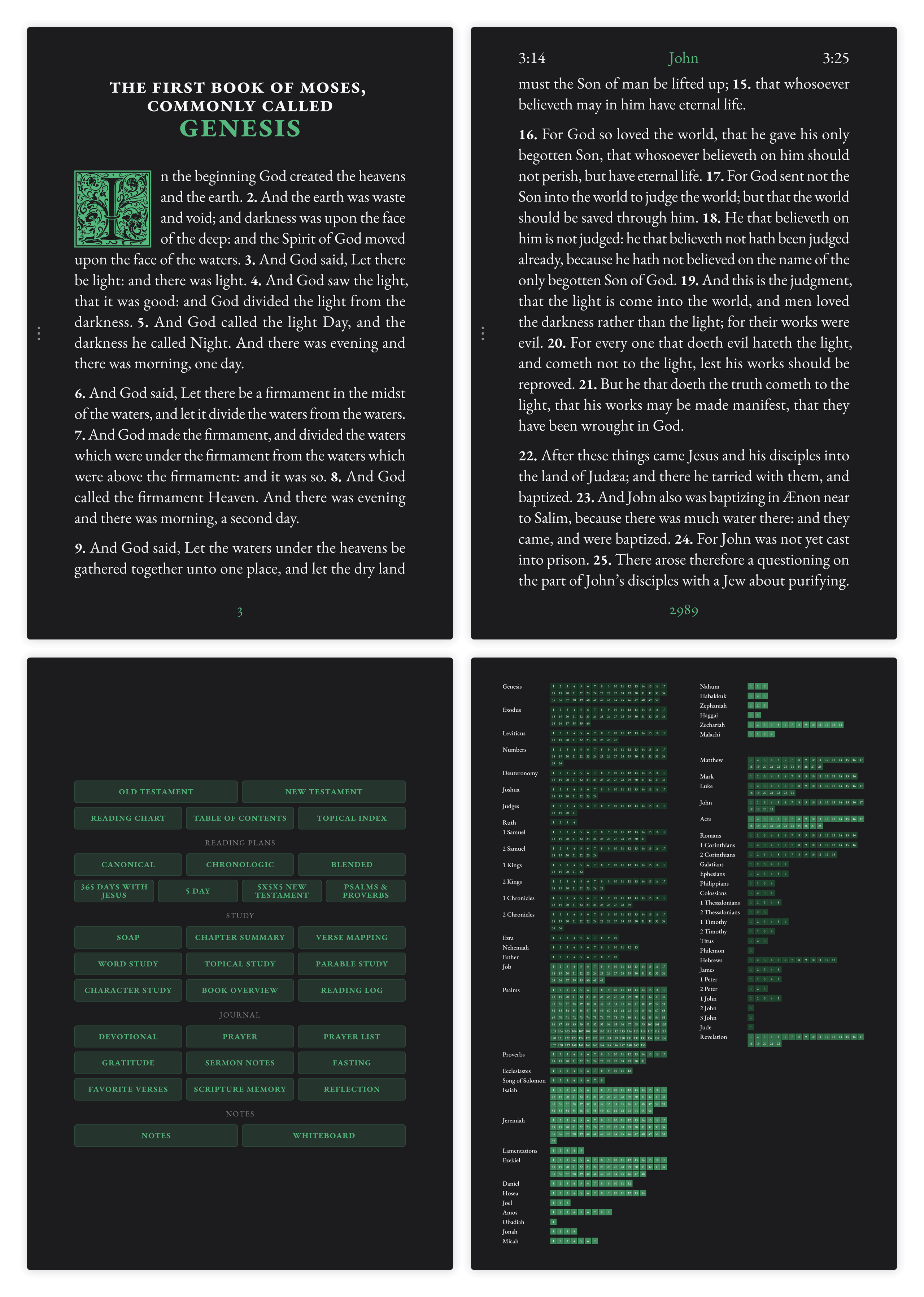 Dark mode Bible pages showing large print layout