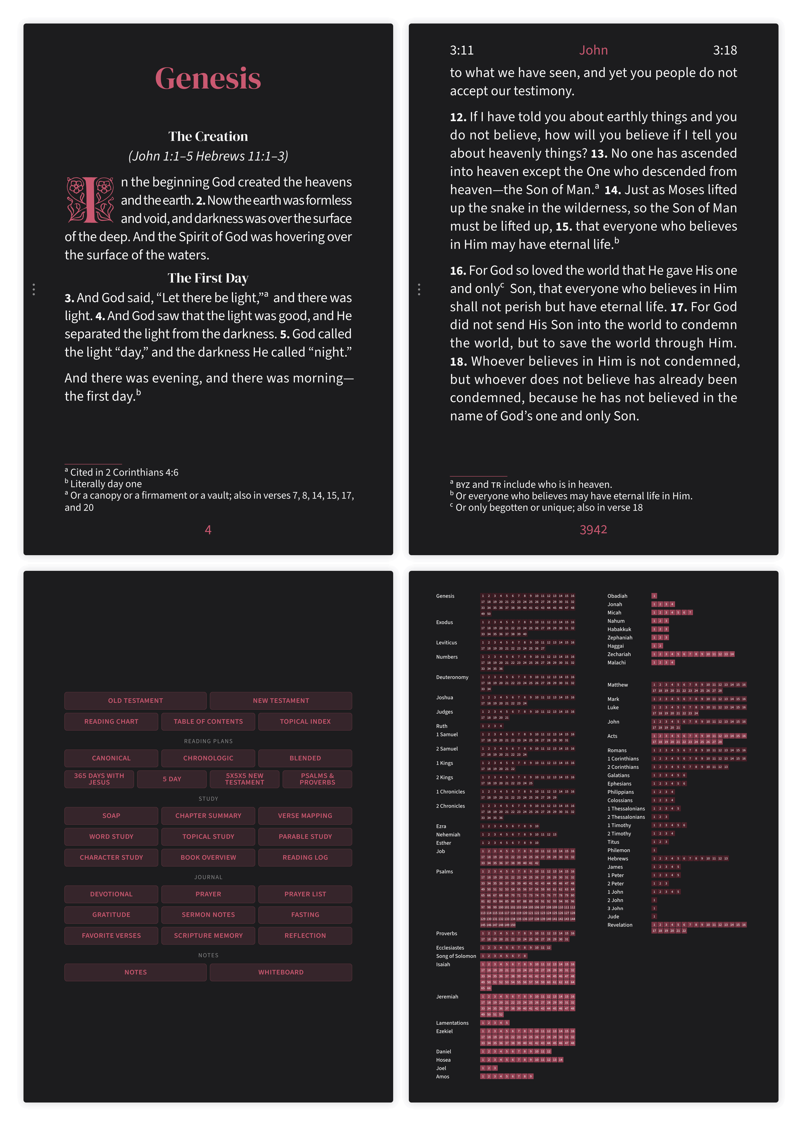 Dark mode Bible pages in the Embrace large print layout