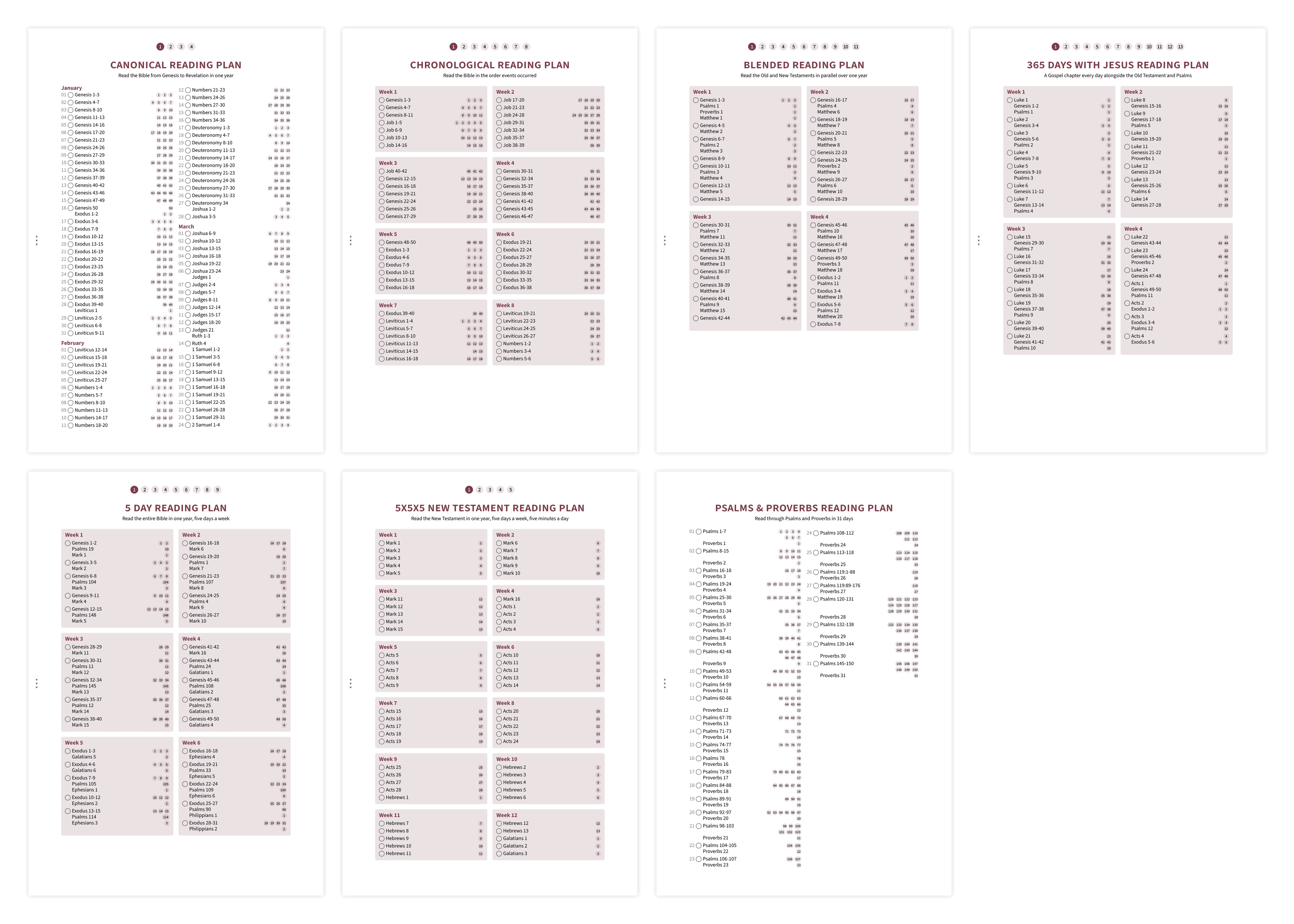 Overview of reading plan options including chronological, canonical, and thematic