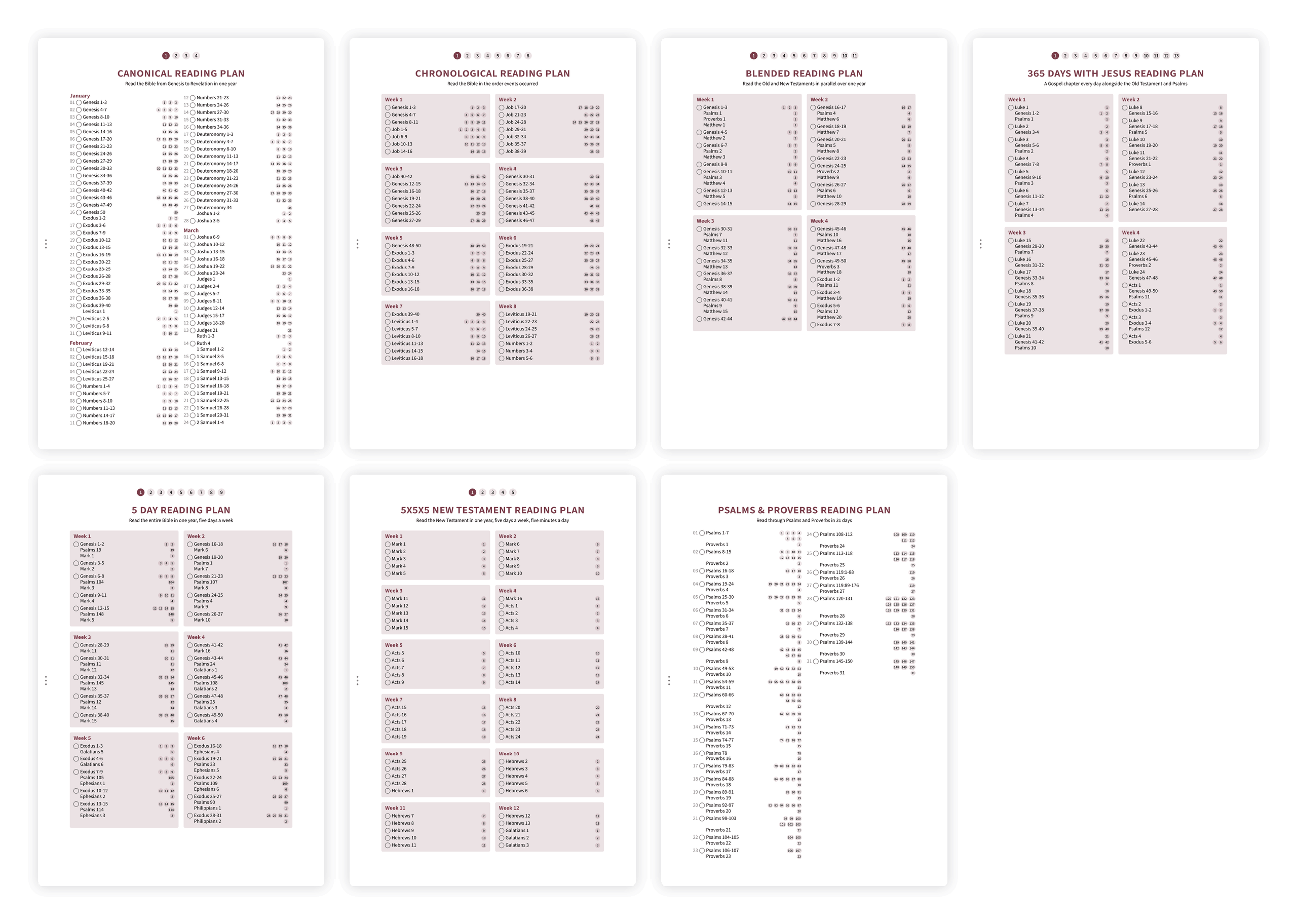 Overview of reading plan options including chronological, canonical, and thematic