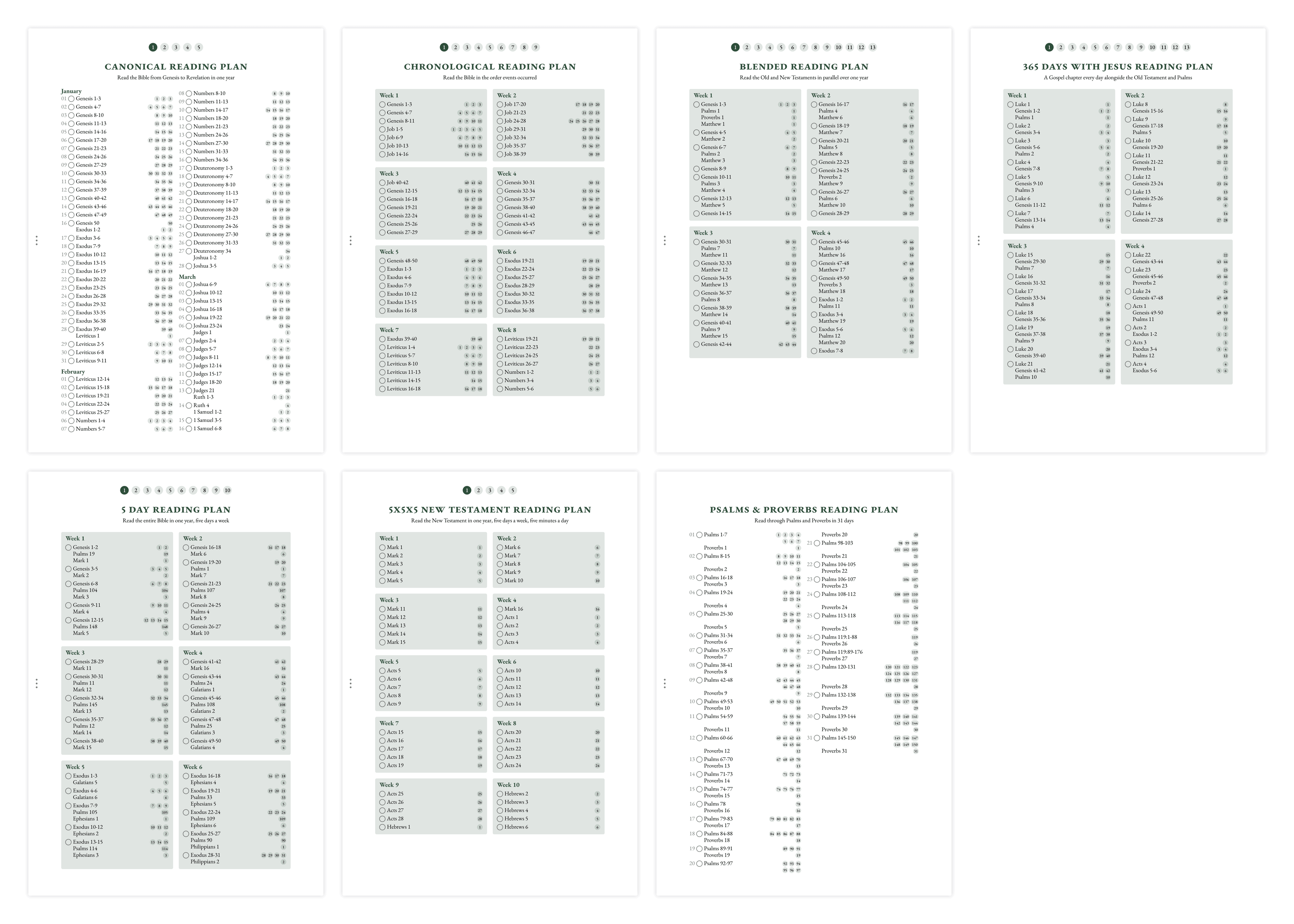 Overview of reading plan options including chronological, canonical, and thematic